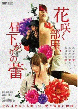 第七影院花花 奇幻电影山海纪年封面